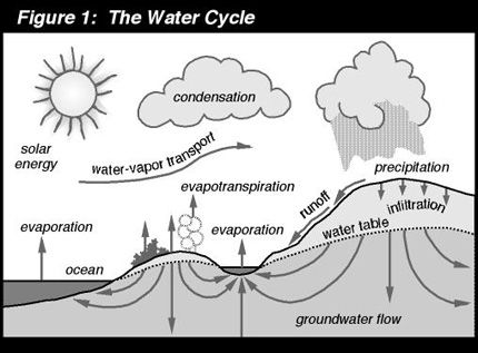 Graphic depicting the water cycle